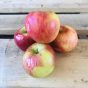 Braeburn Apple