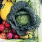 Large box with cabbage, melon, nectarines, bananas, tomatoes, celery, pears, spring onions