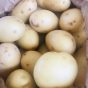 New Potatoes