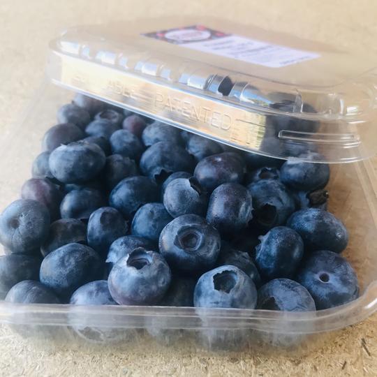 Punnet of Blueberries