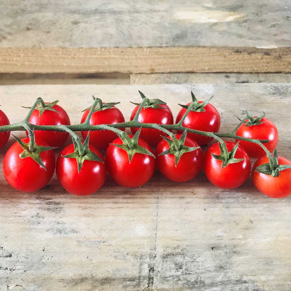 Cherry Vine Tomatoes