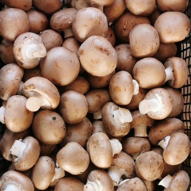 A crate of chestnut mushrooms