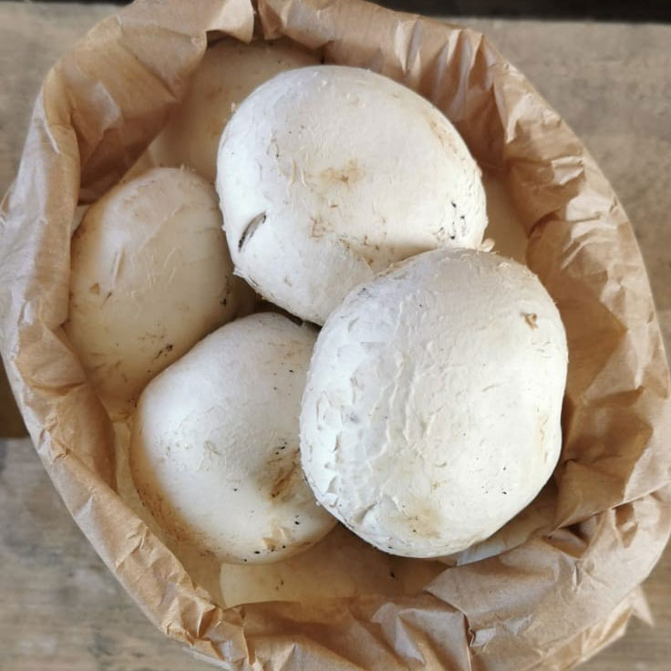 A bag of cup mushrooms