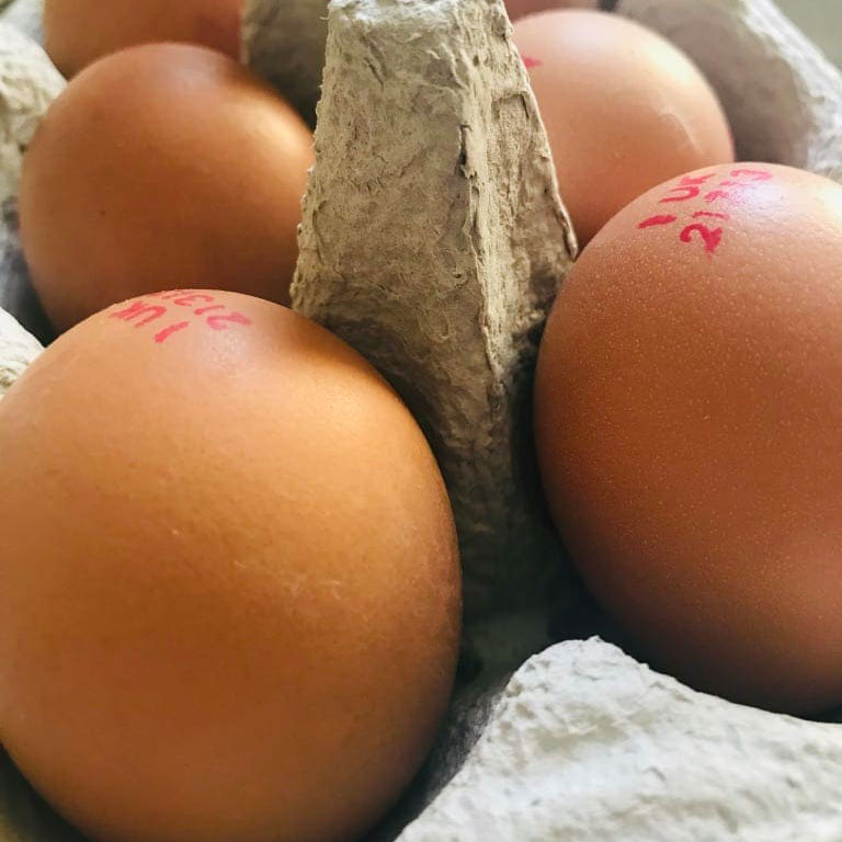 Fresh free range local eggs