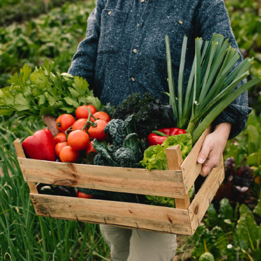 Farmer carrying crate of fresh UK grown fruit and veg