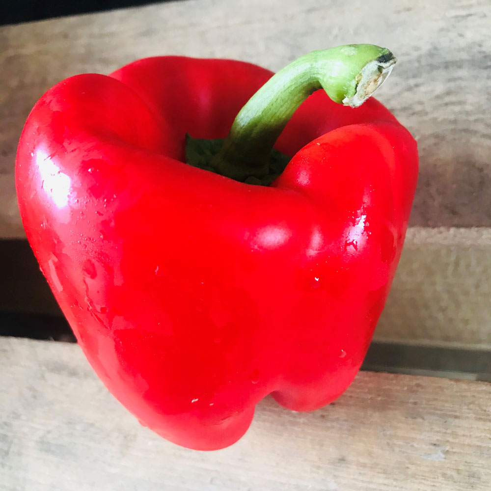 Red bell pepper