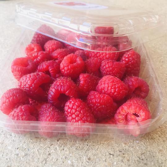 Punnet of raspberries locally grown