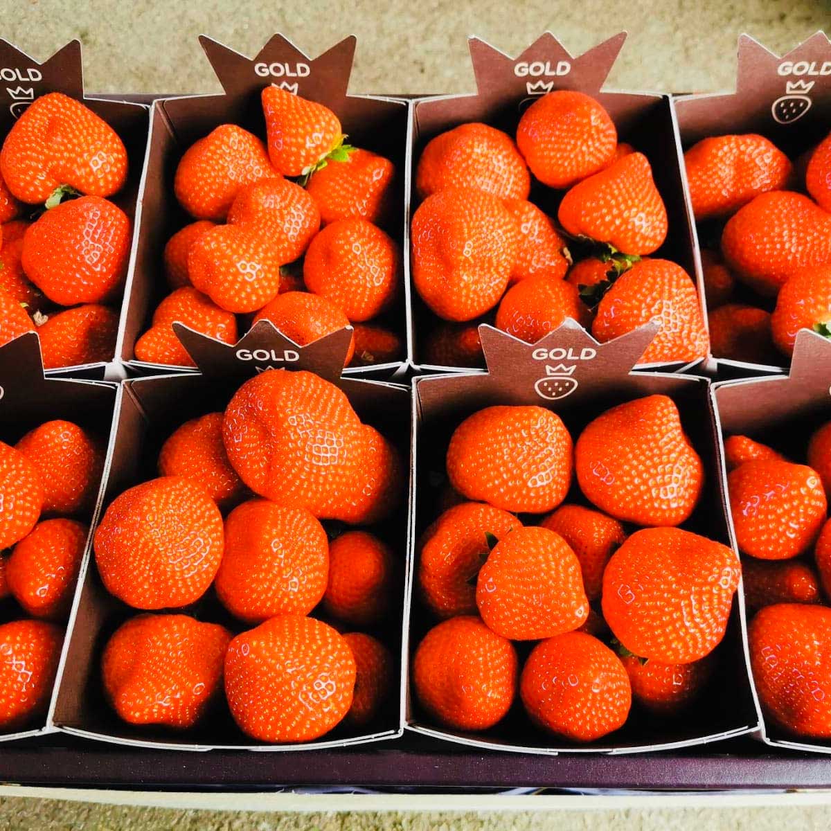 Punnet of strawberries