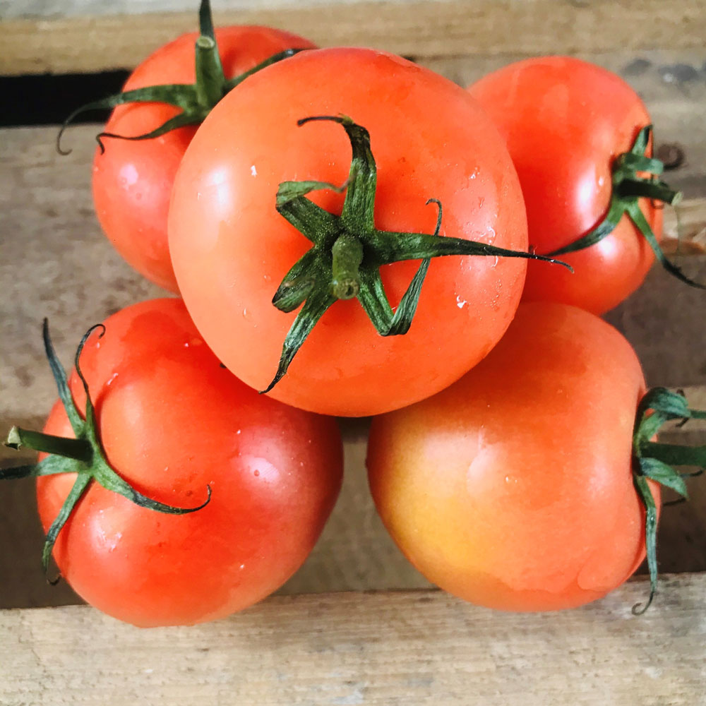 Salad Tomatoes