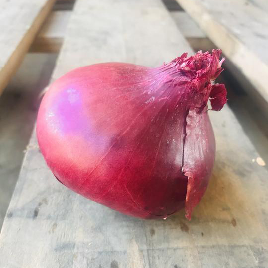 Red Onion