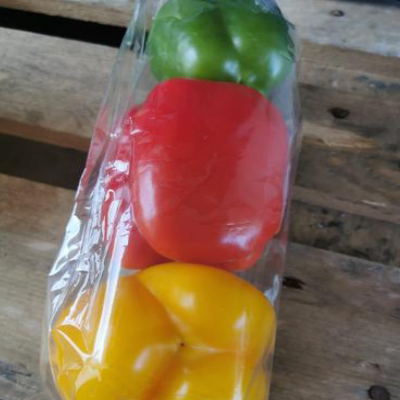 Mixed Peppers Red Yellow Green