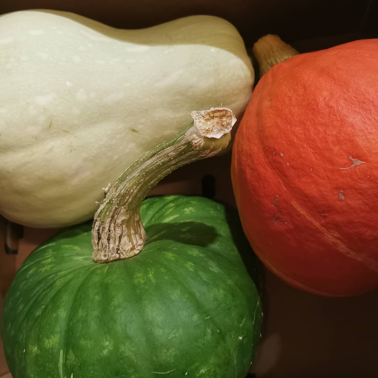 Mixed Squash