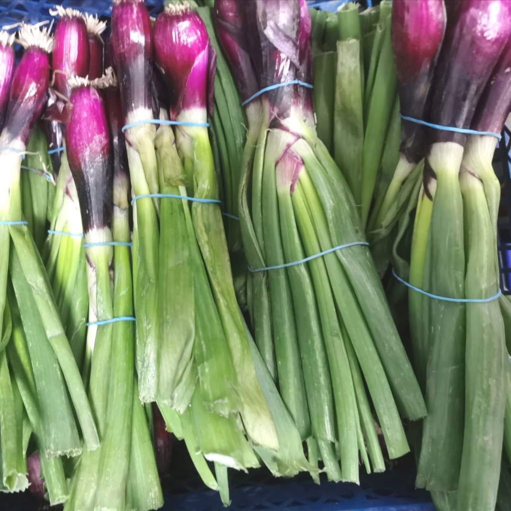 Red Spring Onion