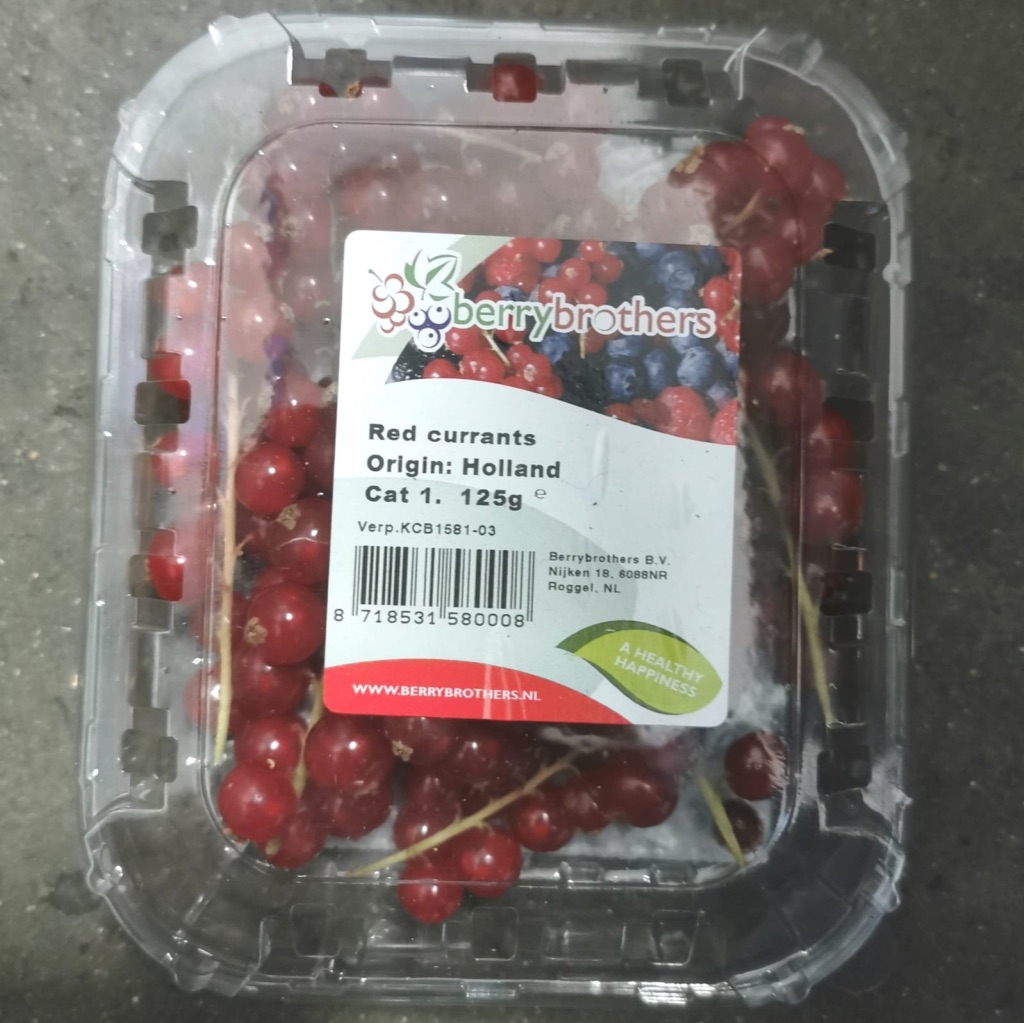 Red Currents